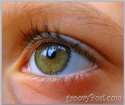 Adobe Photoshop Basics - Human Eye sélectionne toute la couche des yeux