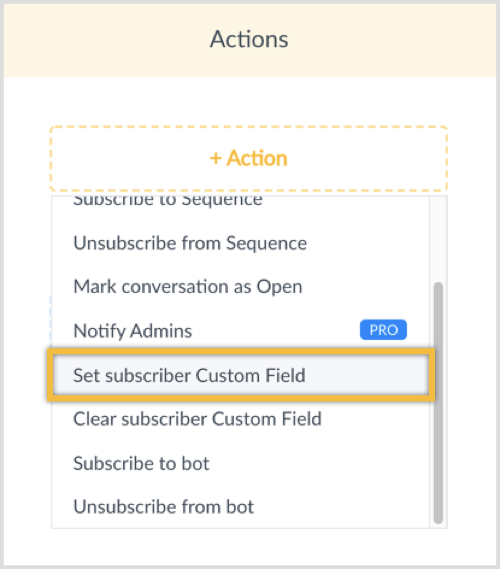 Cliquez sur le bouton + Action et sélectionnez Définir le champ personnalisé de l'abonné.