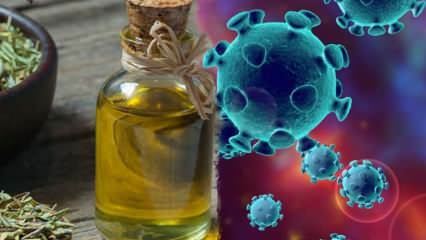L'huile de thym est-elle bonne pour le coronavirus? Quels sont les bienfaits de l'origan et du thym?