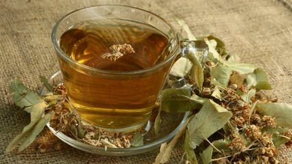 Quels sont les bienfaits du tilleul? Quelles maladies sont bonnes? Comment faire du thé au tilleul?