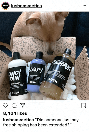 Message d'affaires Instagram avec chien
