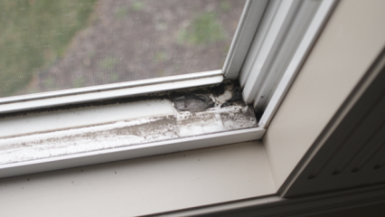 Comment nettoyer les rebords de fenêtre? 