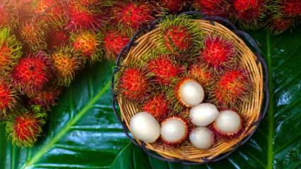 Qu'est-ce que le ramboutan? Quels sont les bienfaits du fruit du Ramboutan? Comment manger du ramboutan?