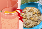 Quels sont les aliments bons pour les maux d'estomac? Mélange naturel qui protège la paroi de l'estomac ...