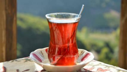 Comment savoir si le thé est de bonne qualité? Façons de comprendre la qualité du thé