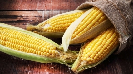 Quels sont les bienfaits du maïs? Le pop-corn est-il utile? Buvez-vous le jus de maïs bouilli?