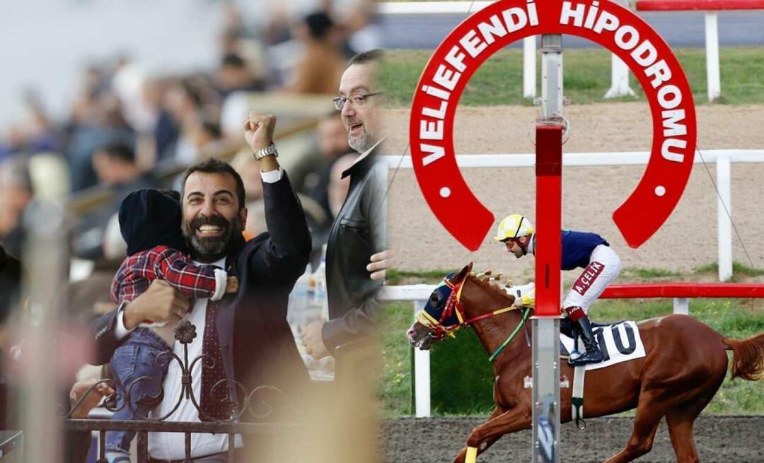 Le pur-sang arabe d'Emre Karayel a pris d'assaut les hippodromes !