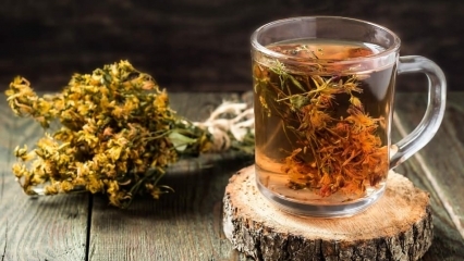 Quels sont les avantages du moût? Que fait l'huile de millepertuis? Comment faire du thé au millepertuis?